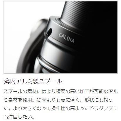 DAIWA（ダイワ） 18 カルディア LT2500S-XH / CALDIA スピニングリール