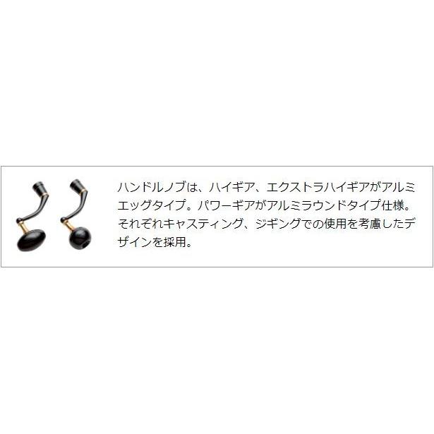 DAIWA（ダイワ） 20 ソルティガ 10000-H / スピニング リール : つり具