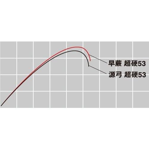 DAIWA（ダイワ） エキスパート 早蕨 硬調 53・V / サワラビ 渓流 竿