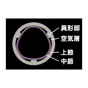 DAIWA(釣り) ダイワ 琥珀本流ハイパードリフト サツキ 85 DAIWA(釣り) ダイワ 琥珀本流ハイパードリフト サツキ 85