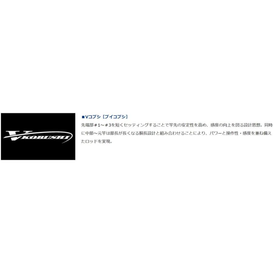 DAIWA（ダイワ） エキスパート 本流 P-3 90M・R / 渓流 竿 : つり具の