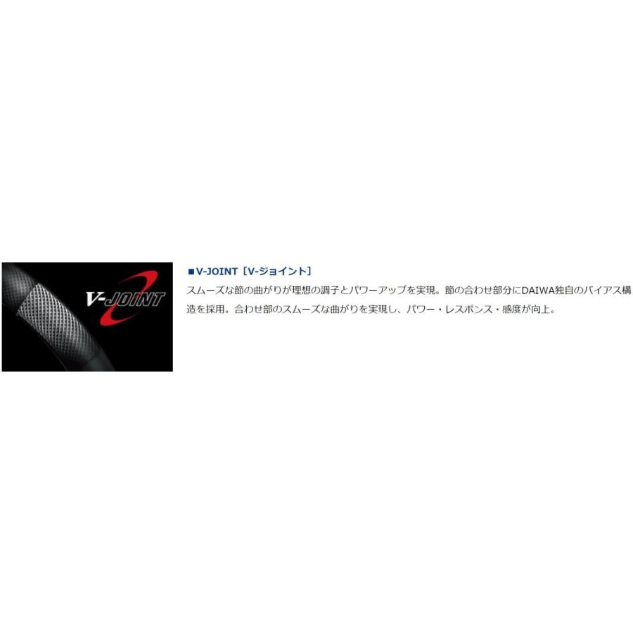 DAIWA（ダイワ） エキスパート 本流 P-6 95M・R / 渓流 竿 : つり具の