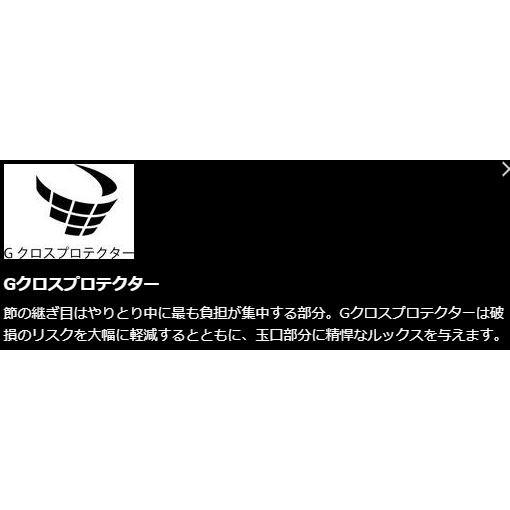 シマノ（SHIMANO） ボーダレスGL (ガイドレス仕様・Nモデル) N22.5