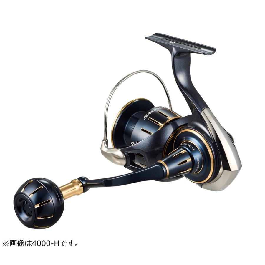DAIWA(釣り) ダイワ 23ソルティガ 4000-XH【2023年新製品 DAIWA(釣り) ダイワ 23ソルティガ 4000-XH【2023年新製品