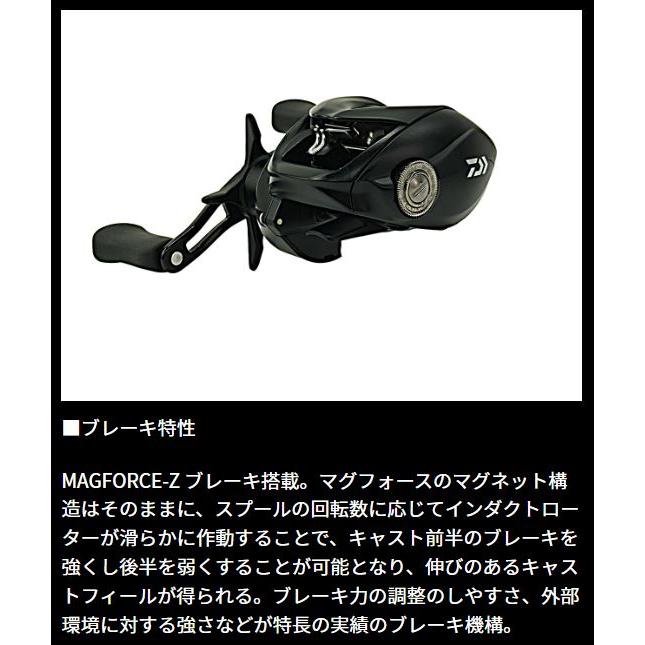 DAIWA（釣り） ダイワ 24 タトゥーラ TW 100HL : つり具の銭屋 - 通販