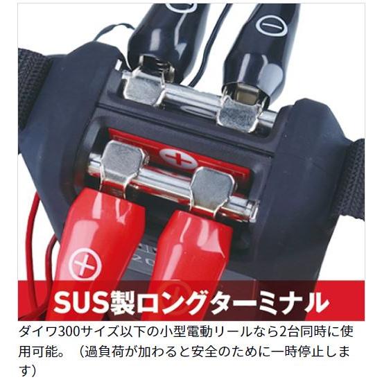 DAIWA(釣り) ダイワ バッテリー スーパーリチウム12000WP-C DAIWA(釣り) ダイワ バッテリー スーパーリチウム12000WP-C