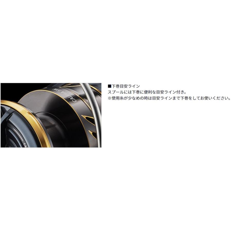 DAIWA(釣り) ダイワ CALDIA(カルディア) SW5000-CXH : つり具 DAIWA(釣り) ダイワ CALDIA(カルディア) SW5000-CXH : つり具