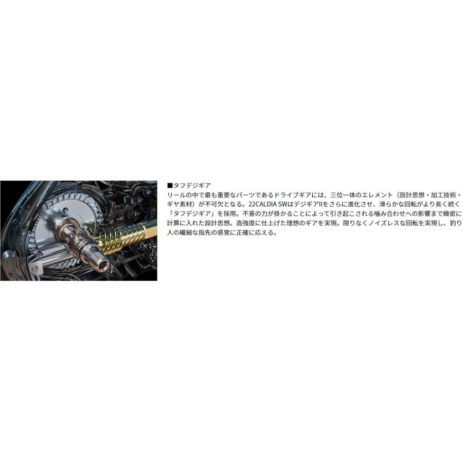 DAIWA(釣り) ダイワ CALDIA(カルディア) SW5000-CXH : つり具 DAIWA(釣り) ダイワ CALDIA(カルディア) SW5000-CXH : つり具