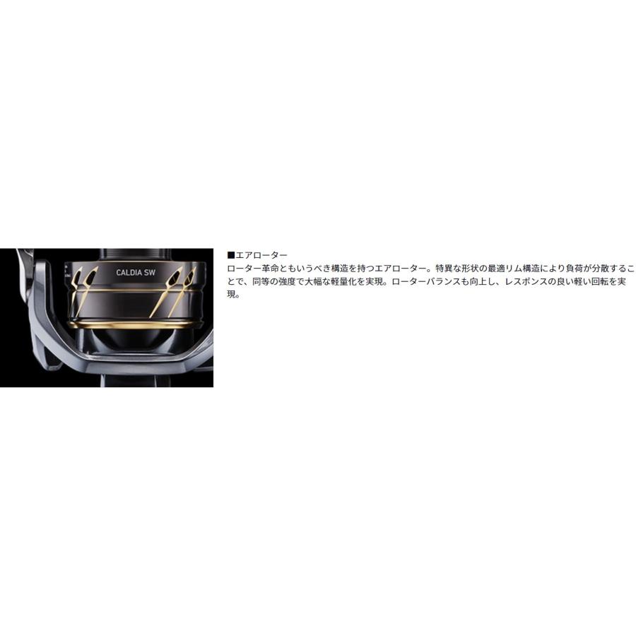 DAIWA(釣り) ダイワ CALDIA(カルディア) SW5000-CXH : つり具 DAIWA(釣り) ダイワ CALDIA(カルディア) SW5000-CXH : つり具
