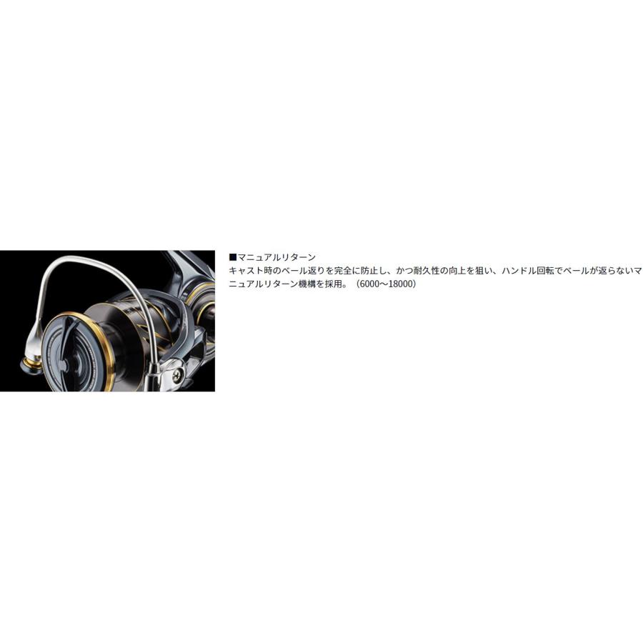 DAIWA(釣り) ダイワ CALDIA(カルディア) SW8000-P : つり具の DAIWA(釣り) ダイワ CALDIA(カルディア) SW8000-P : つり具の