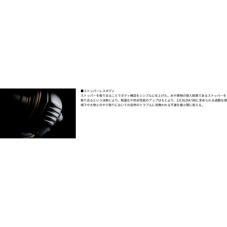 DAIWA(釣り) ダイワ CALDIA(カルディア) SW8000-P : つり具の DAIWA(釣り) ダイワ CALDIA(カルディア) SW8000-P : つり具の