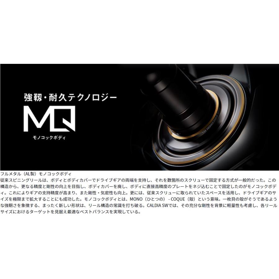 DAIWA(釣り) ダイワ CALDIA(カルディア) SW8000-P : つり具の DAIWA(釣り) ダイワ CALDIA(カルディア) SW8000-P : つり具の