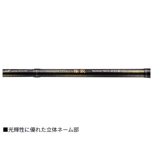 ダイワ 極鋭タチウオテンヤSP EX 91-170(Amazon ダイワ 極鋭タチウオテンヤSP EX 91-170(Amazon
