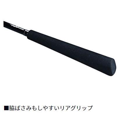 DAIWA(釣り) ダイワ 極鋭タチウオテンヤSP EX 91-170 : つり具 DAIWA(釣り) ダイワ 極鋭タチウオテンヤSP EX 91-170 : つり具