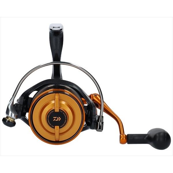 DAIWA（ダイワ） 19キャスティズム25 15PE : つり具の銭屋