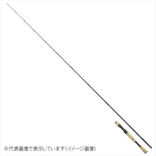 DAIWA（ダイワ） ブラックレーベル BLX LG 6111H+FB-SB(ベイト