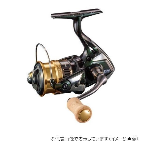 SHIMANO CARDIFF CI4+ 1000SHG スピニングリール シマノ（SHIMANO） カ−ディフ CI4+ 1000SHG／スピニングリール