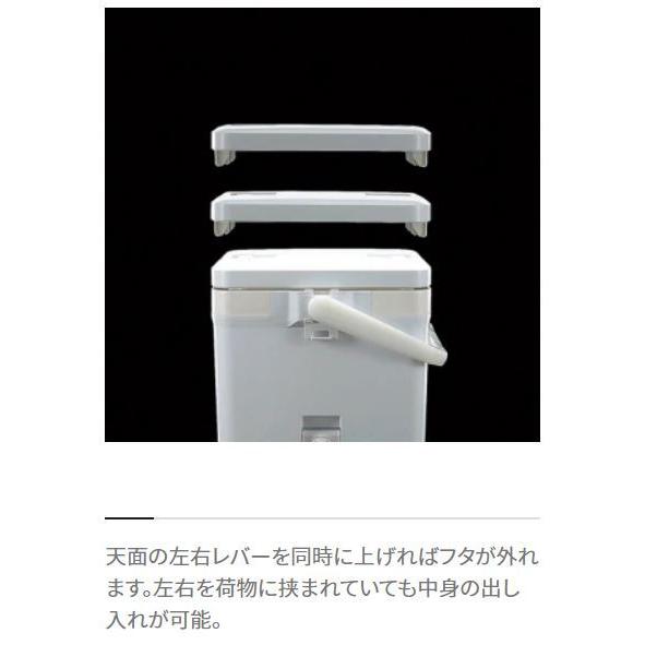 シマノ（SHIMANO） クーラーボックス フィクセル リミテッド NF-222V