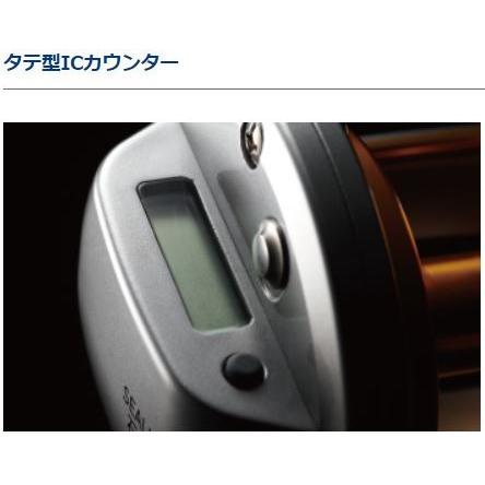 DAIWA（ダイワ） シーライン石鯛 40H遠投 : つり具の銭屋 - 通販