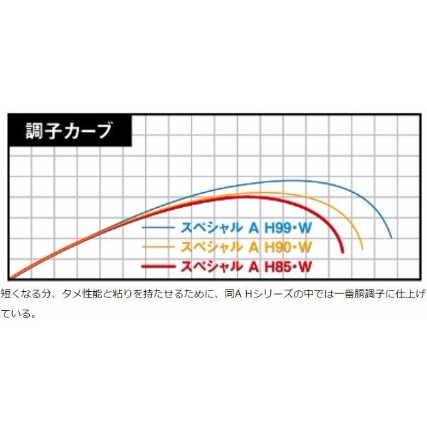 DAIWA(釣り) ダイワ 鮎竿 銀影競技 スペシャル A H85・W DAIWA(釣り) ダイワ 鮎竿 銀影競技 スペシャル A H85・W