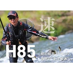 DAIWA(釣り) ダイワ 鮎竿 銀影競技 スペシャル A H85・W DAIWA(釣り) ダイワ 鮎竿 銀影競技 スペシャル A H85・W