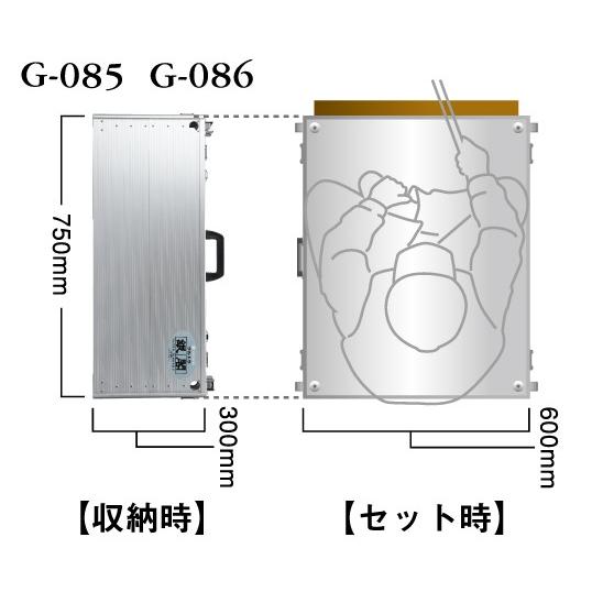 DAIWA(釣り) ダイワ 銀閣 GINKAKU G-086 デルタ銀閣 DAIWA(釣り) ダイワ 銀閣 GINKAKU G-086 デルタ銀閣