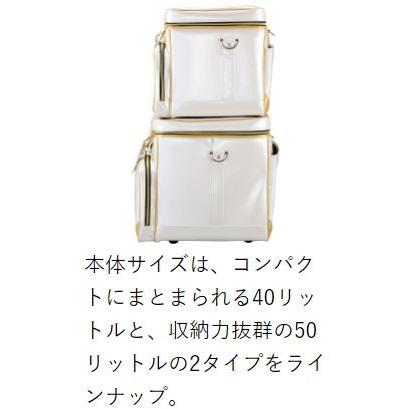 Gamakatsu（がまかつ） へらバッグIV GB-313 50リットル / ヘラバッグ