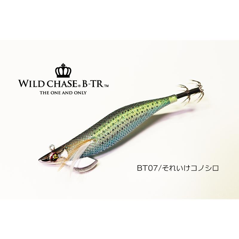 スクイッドマニア ワイルドチェイス B-TR 3.5号 30g / SQUID スクイッドマニア ワイルドチェイス B-TR 3.5号 30g / SQUID