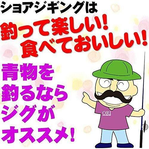 税込 送料無料 ハイギアリール付 ショアジギングセット96m 3 Shorejiggiset 08 Heirloomedblog Com