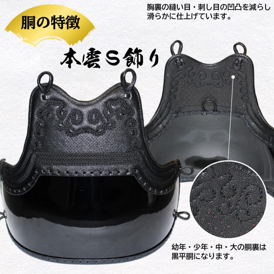 刺繍無料 胴代込み】 剣道 防具 セット 頂黒 （面乳革 面紐 胴紐 付き