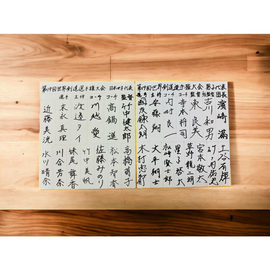 【刺繍無料】 剣道 垂 防具 2026 ALL JAPAN PITCH 関東型 単品 剣道防具 人気 おすすめ たれ_13