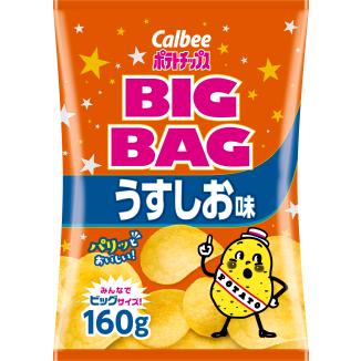 BIG BAG ポテトチップス うすしお味 160g入×12袋 1ケース カルビー