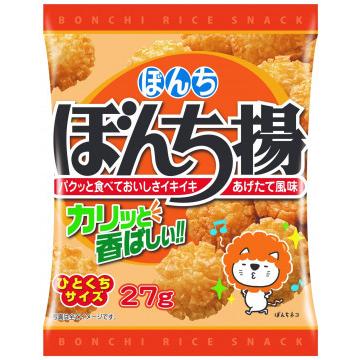 ぼんち ぼんち揚小袋 27g入×20袋入 1ケース ぼんち（株）【本州