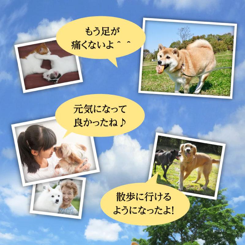 犬 サプリメント おやつ 無添加 無着色 BokBok サメ軟骨 150g ヘルシー ケア 健康 ボクボク 関節 天然 コラーゲン カルシウム 送料無料｜zenpets｜16