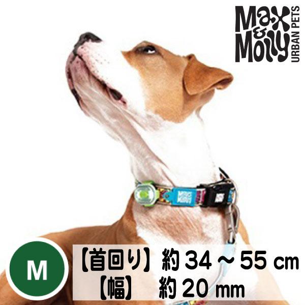 在庫限り 犬 首輪 デジタル迷子札付き Max&Molly オリジナルギア