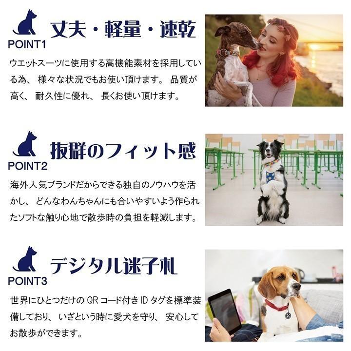 在庫限り 犬 首輪 デジタル迷子札付き Max&Molly オリジナルギア