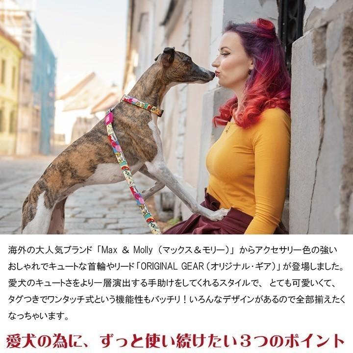 在庫限り 犬 首輪 デジタル迷子札付き Max&Molly オリジナルギア