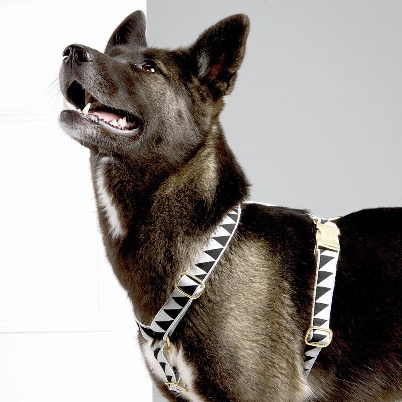 在庫限り 犬 ハーネス See Scout Sleep ナイスグリル 25mm幅 Mサイズ 簡単装着 小型犬 中型犬 爆買の画像