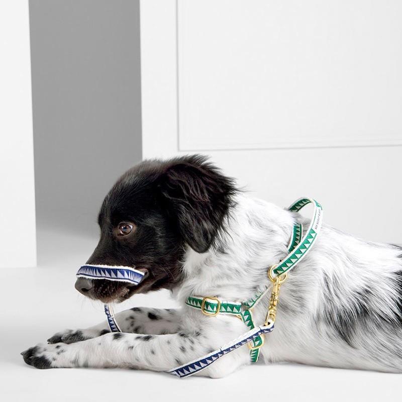 在庫限り 犬 ハーネス See Scout Sleep ナイスグリル 25mm幅 Mサイズ 簡単装着 小型犬 中型犬 爆買の画像