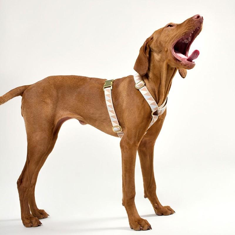 在庫限り 犬 ハーネス See Scout Sleep ナイスグリル 25mm幅 Mサイズ 簡単装着 小型犬 中型犬 爆買の画像