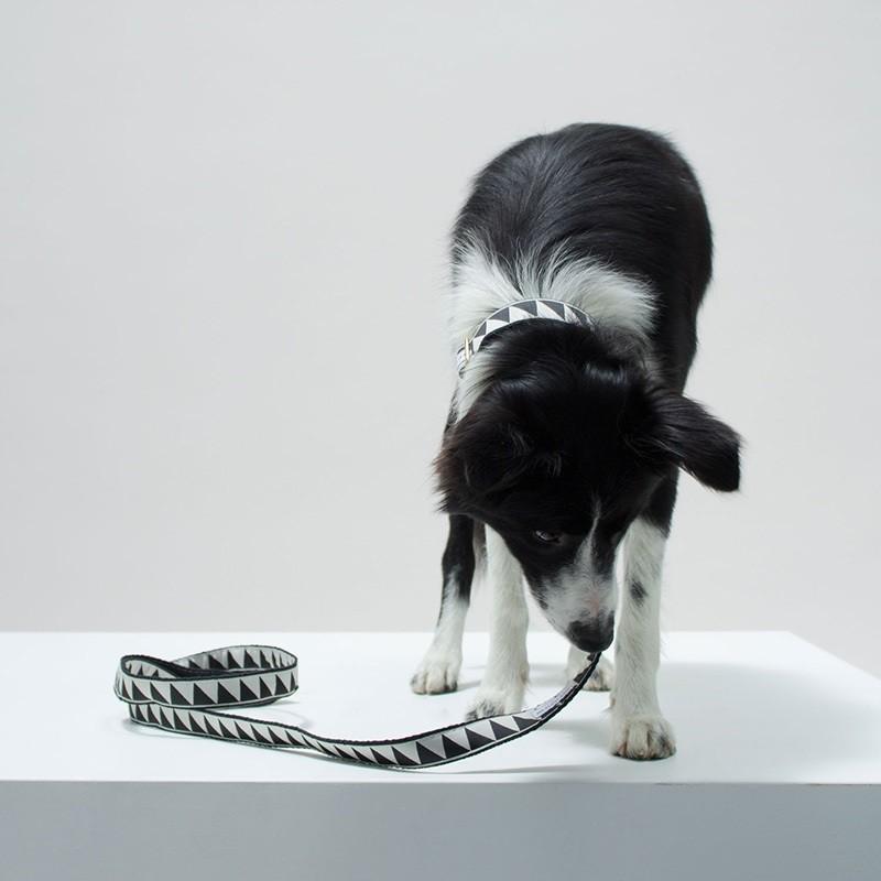 犬用 スタンダード リード See Scout Sleep ナイスグリル 13mm幅 小型犬 中型犬 Sss Ng St13 犬のペットグッズ専門店 Zenpets 通販 Yahoo ショッピング