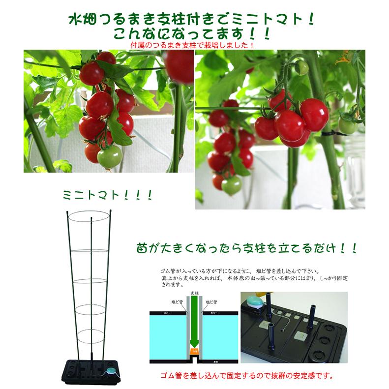水畑 つるまき支柱付き 水耕栽培セット 家庭菜園キット 水栽培 野菜 ハイドロカルチャー つるまき支柱 弦巻 ベランダ スポンジ 肥料 プランター トマト Zb Zpzp Mz 2 カー用品と雑貨のゼンポー 通販 Yahoo ショッピング