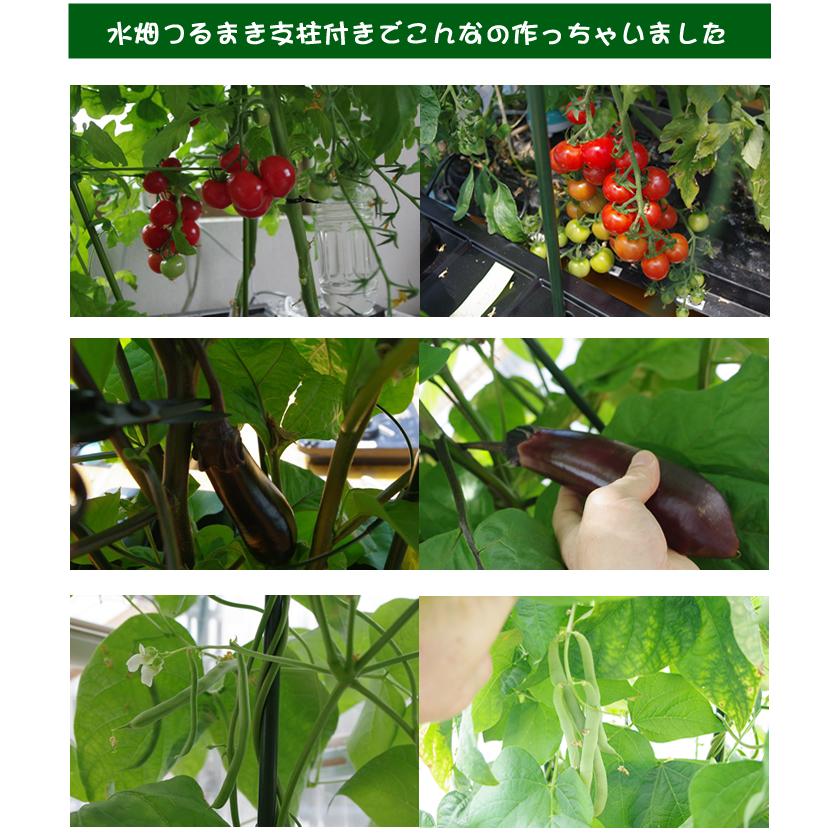水畑 つるまき支柱付き 水耕栽培セット 家庭菜園キット 水栽培 野菜 ハイドロカルチャー つるまき支柱 弦巻 ベランダ スポンジ 肥料 プランター トマト Zb Zpzp Mz 2 カー用品と雑貨のゼンポー 通販 Yahoo ショッピング