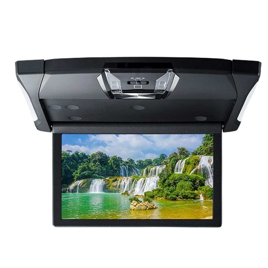 ALPINE（アルパイン） 10.1型 WSVGA液晶 ルームライト有り HDMI入力