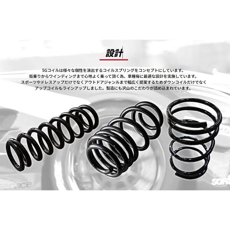 5ZIGEN 【メーカー直送品】5ZIGEN 5G-COIL-DOWN 5GHD053 HONDA ライフ