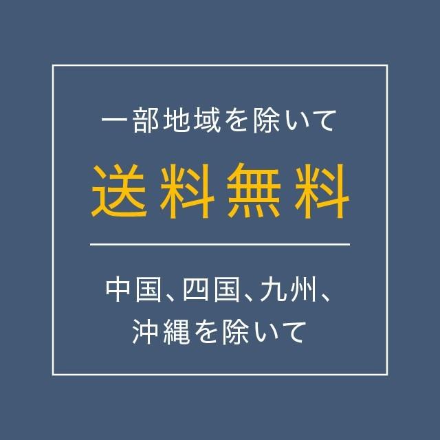 盃 川連 漆器 漆塗り おしゃれ 赤 黒 漆 木製 日本製 天然木 お祝い