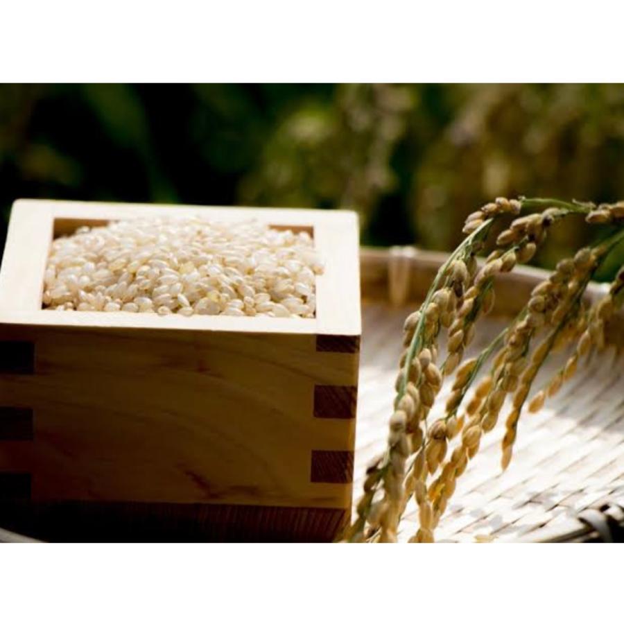 米 玄米 【産地限定！令和7年産前沢産玄米ひとめぼれ30kg】 : 杉善