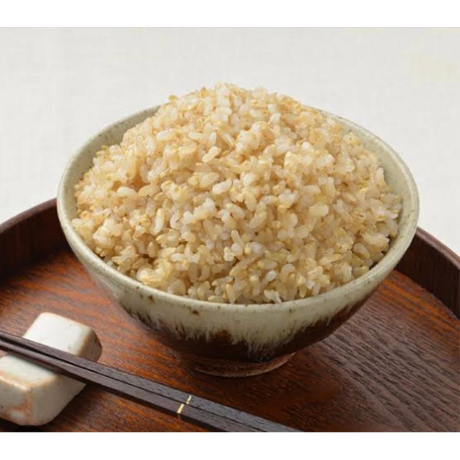 米 玄米 【産地限定！令和7年産前沢産玄米ひとめぼれ30kg】 : 杉善