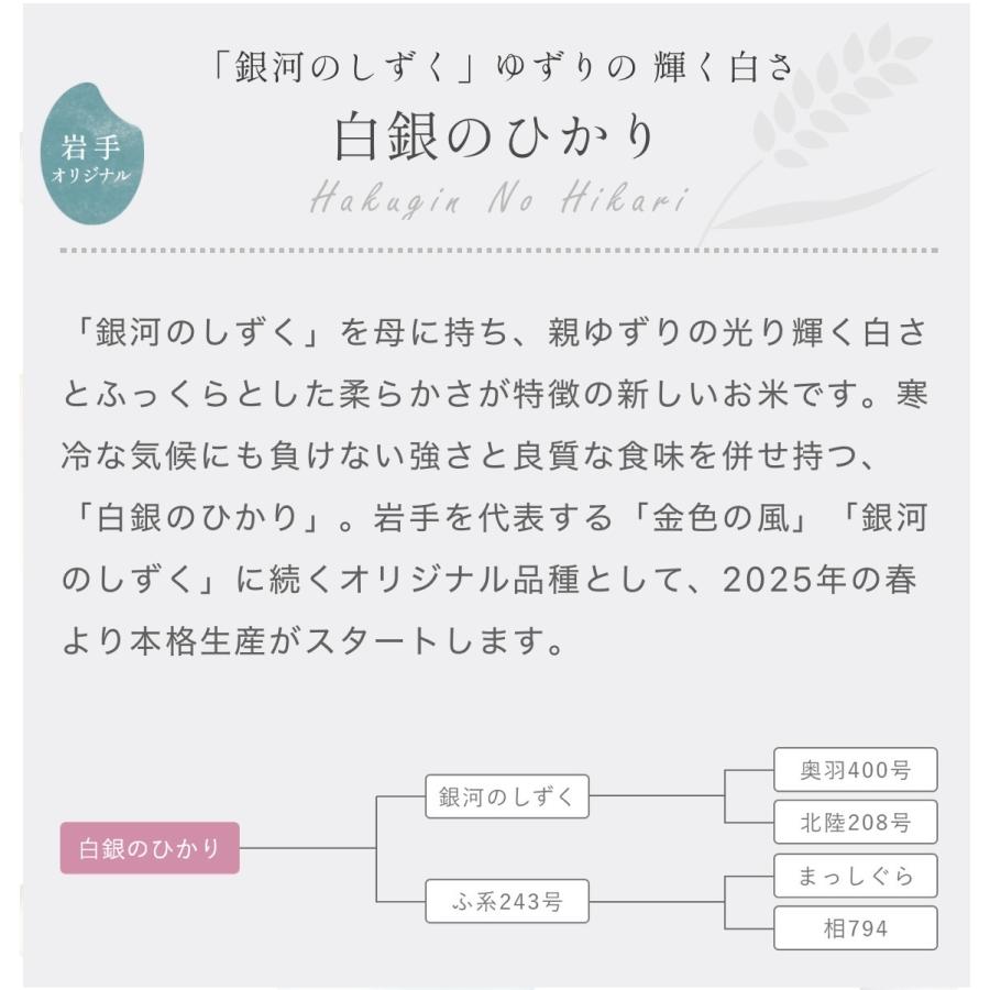 米 新商品！【令和7年産岩手県産白銀のひかり10kg】5kg×2 : 杉善