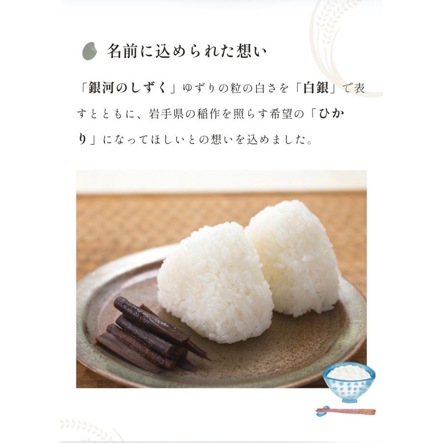 お米　新商品！精米【岩手県産白銀のひかり10kg】5kg×2 オススメ商品！ 米 新商品！【令和7年産岩手県産白銀のひかり10kg】5kg×2 : 杉善